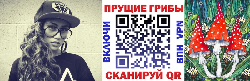 Галлюциногенные грибы прущие грибы  Порхов 