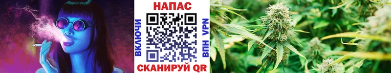 Бошки Шишки гибрид  что такое   Порхов 
